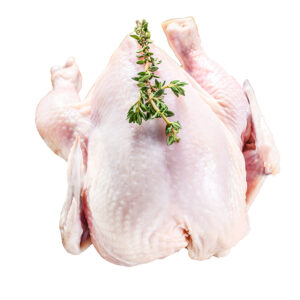 עוף מפורק / X7 - הנדל