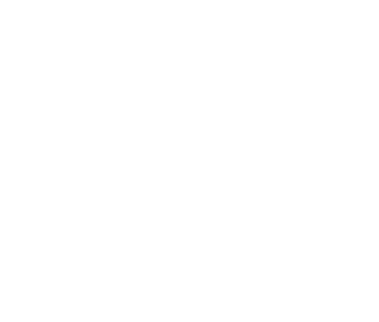 לובביץ'
