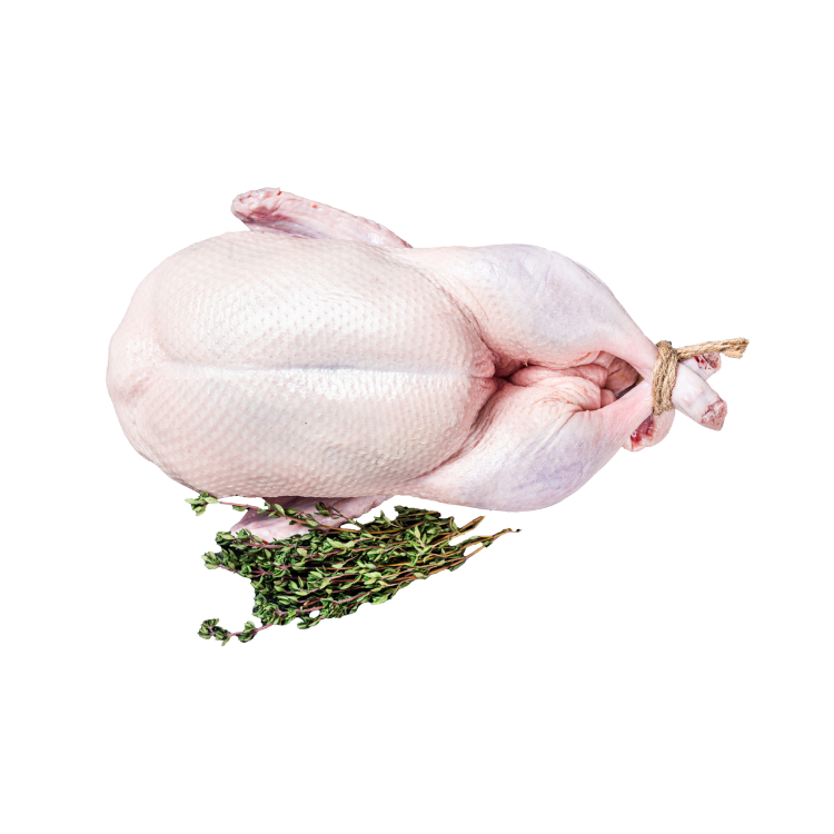 Whole Turkey